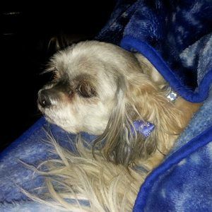 Meet your Posher, Clare